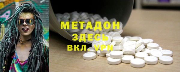 прущие грибы Лабытнанги