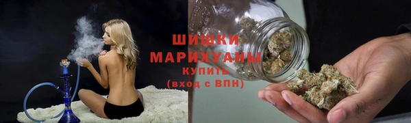 прущие грибы Лабытнанги