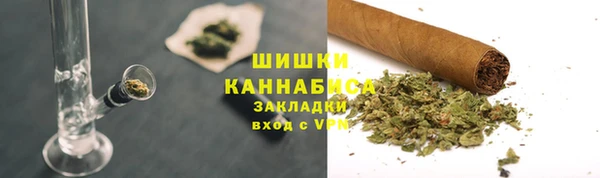 прущие грибы Лабытнанги
