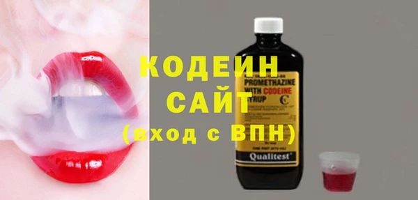 прущие грибы Лабытнанги