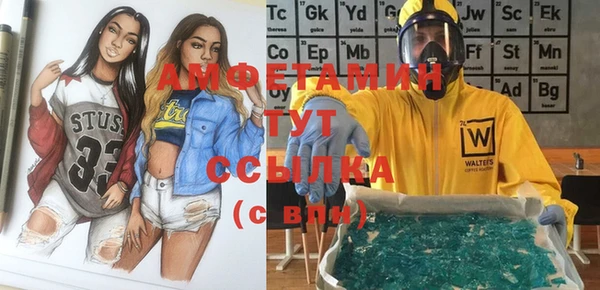 прущие грибы Лабытнанги