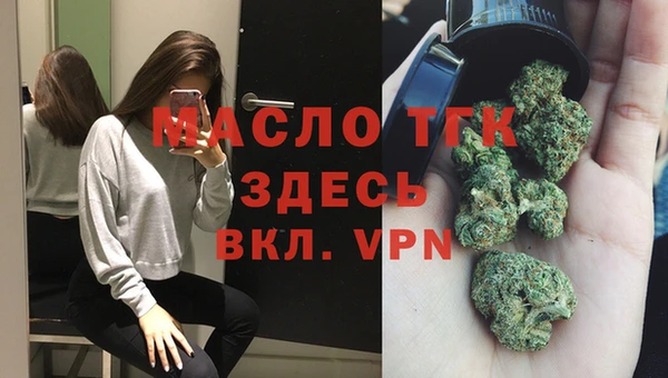 прущие грибы Лабытнанги