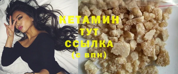 прущие грибы Лабытнанги