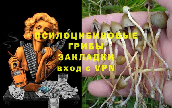 марки lsd Лагань