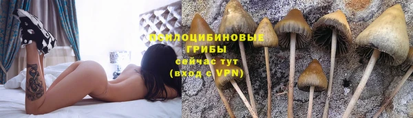 MDMA Premium VHQ Корсаков