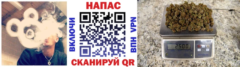 Бошки Шишки ГИДРОПОН  ОМГ ОМГ как зайти  Сусуман 